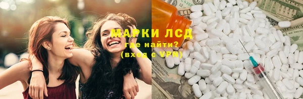 ECSTASY Богданович